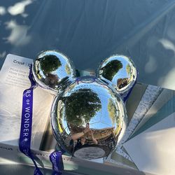 $15 Disney Land