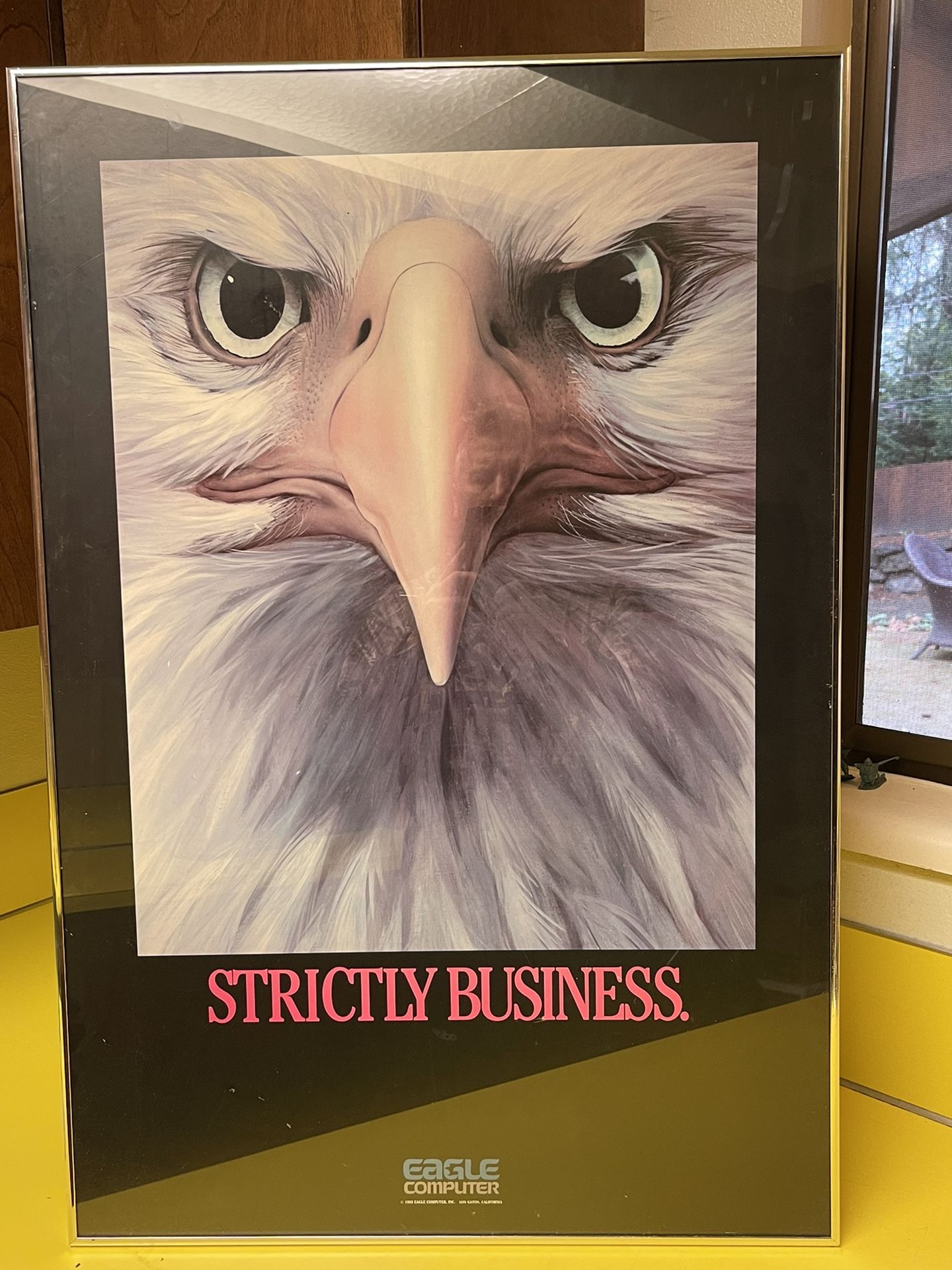 Vintage framed 1983 defunct eagle computer company print