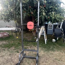 Pull Up Bar