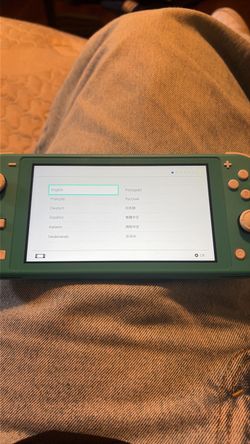 Switch lite