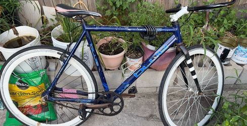 Blue Mongoose Fixed Gear Road Bike