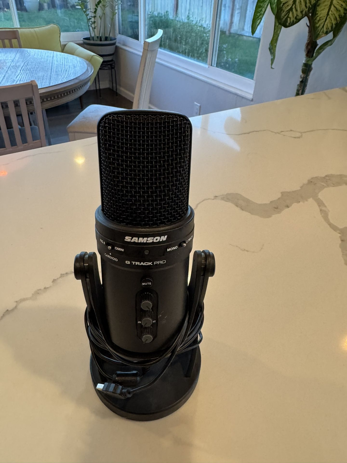 Samson Mic