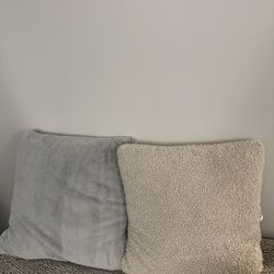 2 Target Toss Pillows