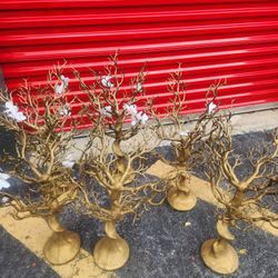 **$50 TAKES ALL** 6 TREE CENTERPIECES 30IN