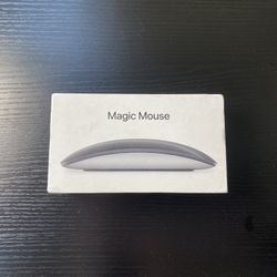 Apple Magic Mouse – Good Cosmetics, Limited Functionality