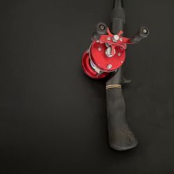 Fishing Rod & Reel