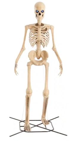 8Ft.Skelly new in box