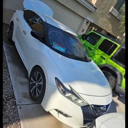 Nissan Maxima Pearl White