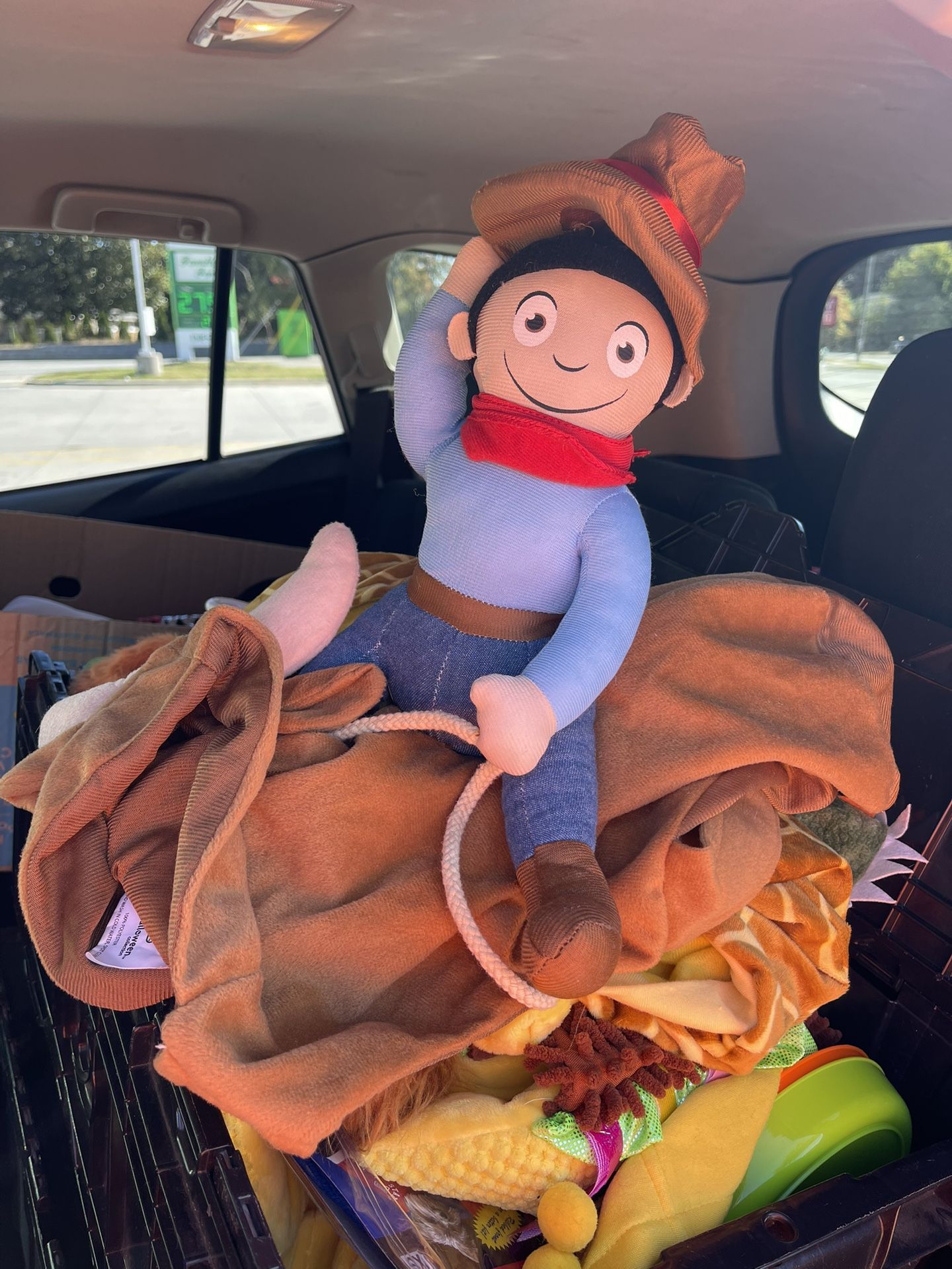 Assorted Pet Costumes