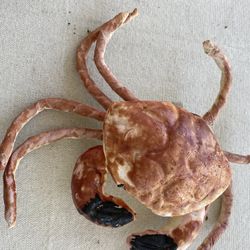 Crab Decor