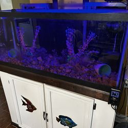 75 Gallon Fish Tank Two aqua clear filter, heater lights, air pump cabinet and more