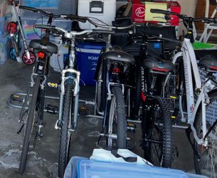 5 Bikes + Indoor Rack + Repair Kits – Take All