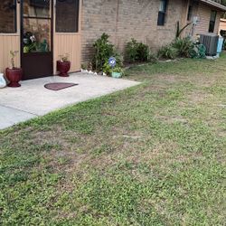 2 Cement Plant Ornament With Blooming Roses