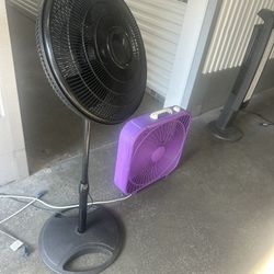Fans $20 Each