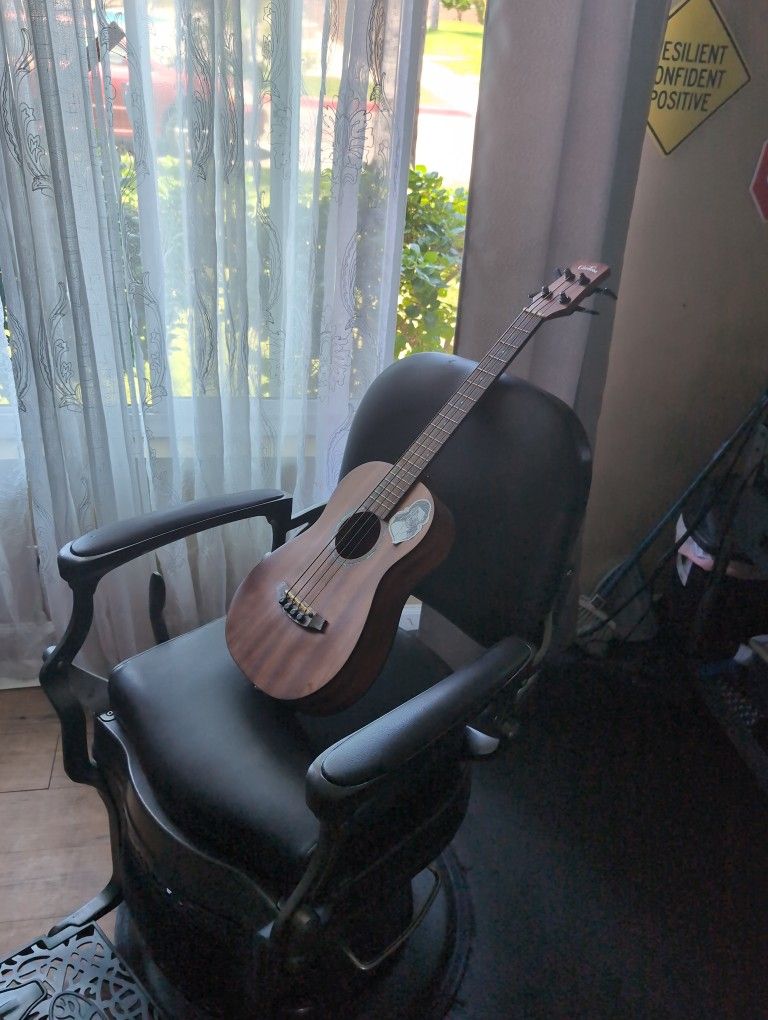 Acoustic Bass