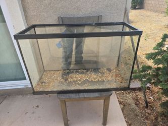 Fish tank with water pump