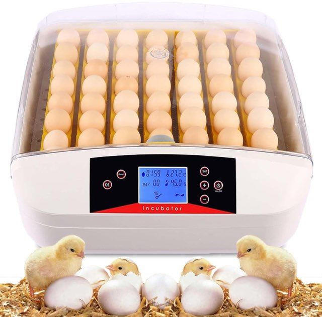 56 Egg Incubator(Jh2222)