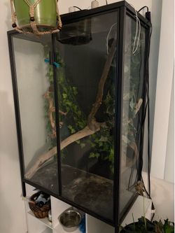 Reptile cage