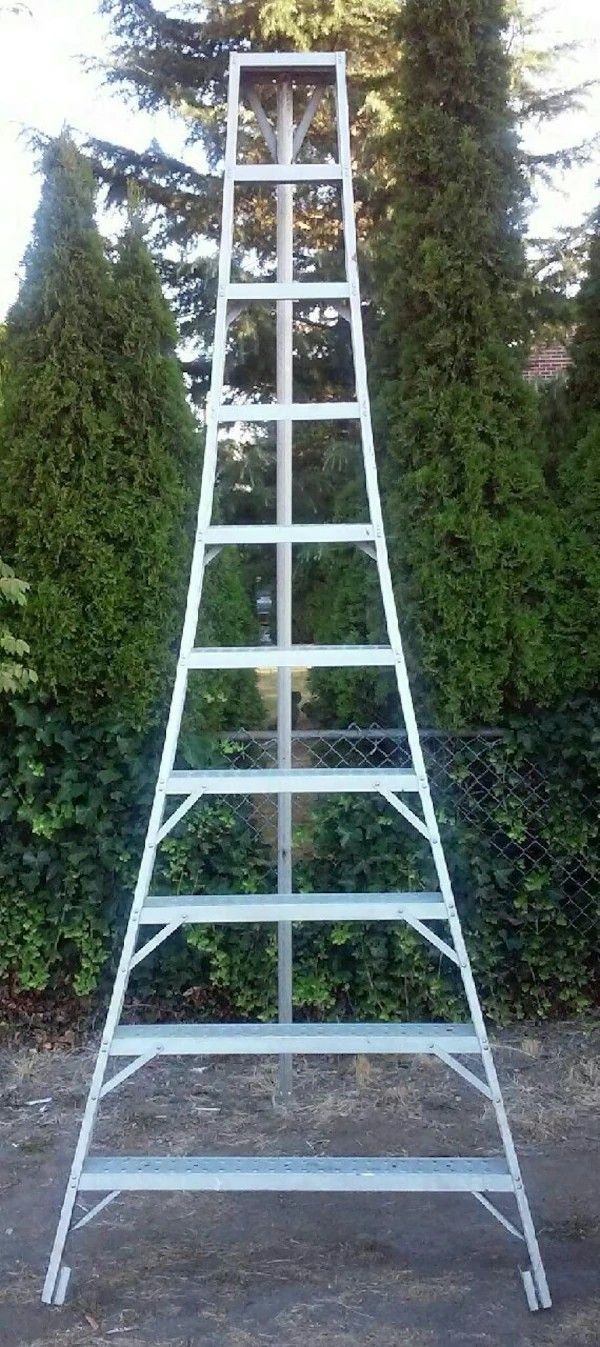 10 ft orchard ladder for Sale in Seattle, WA OfferUp