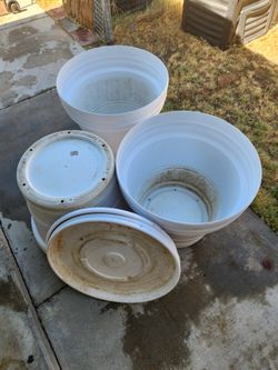 3 Pawnware PT No RR22 gardening pot