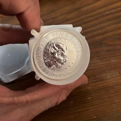 10 Oz Silver Bullion