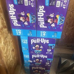 Pull Ups Size 4t-5t
