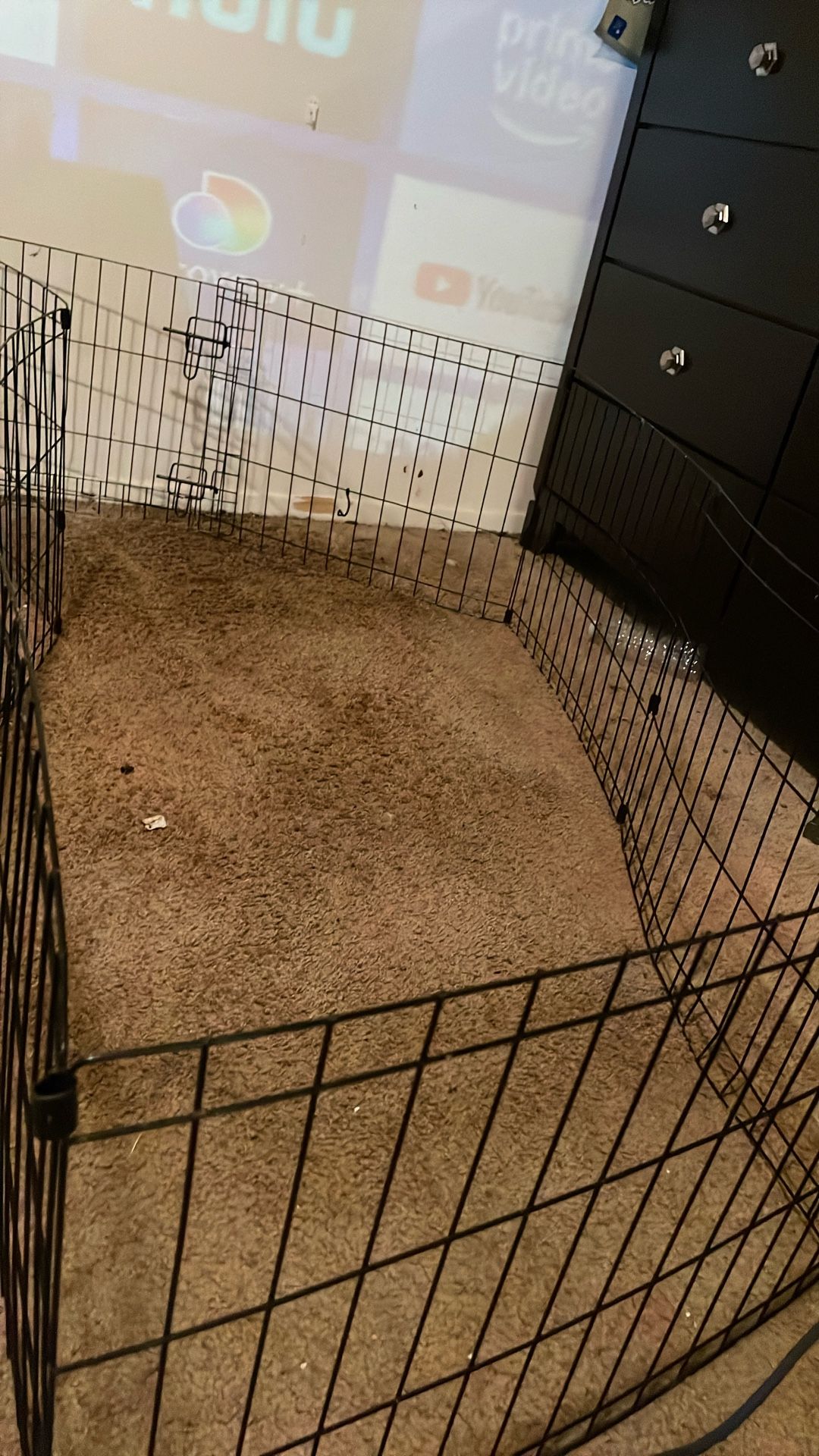 Pet Gate
