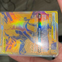 Pikacha&zekrom Pokemom