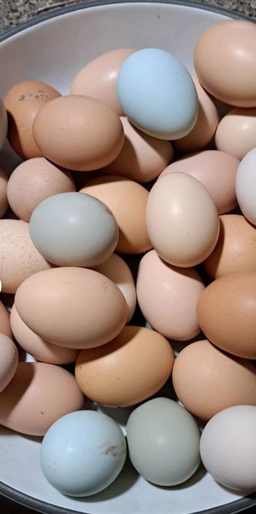 Farm Fresh eggs