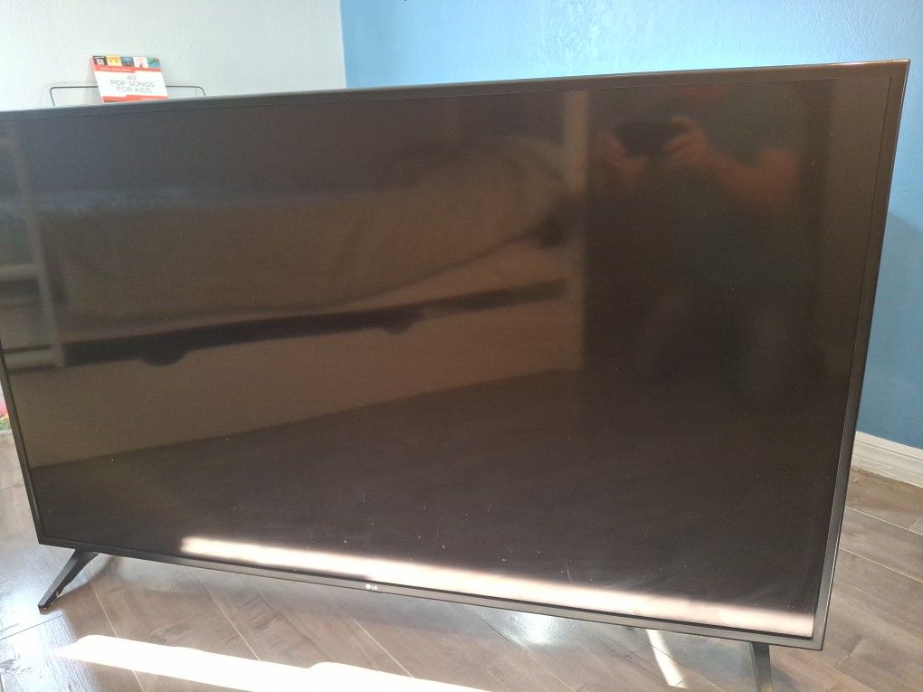 60 Inch Flat Screen TV With Remote. Works Great!