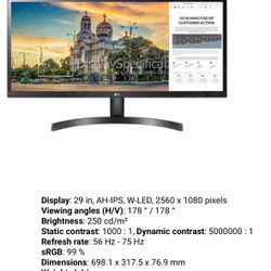 Two LG 29” Computer Monitors