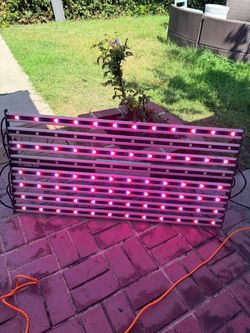 Commercial LED Grow Light Package – Illumitex + 600W COB