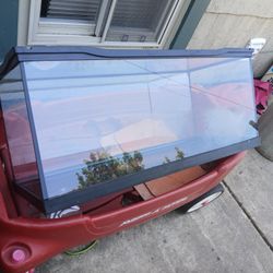 Fish Tank
