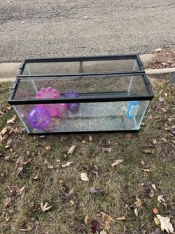 Hamster Cage And Accessories