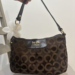 Coach Chocolate Brown Mini
