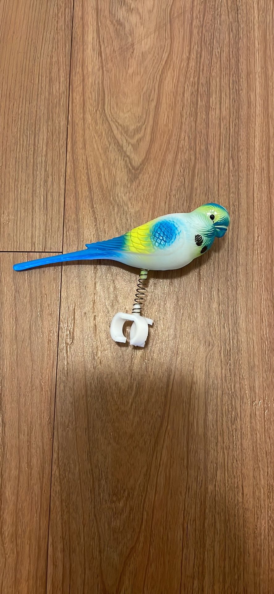 Bird Cage Toys