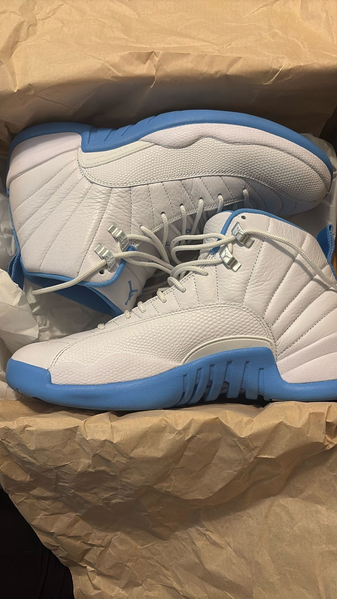 Jordan 12 Size 10.5