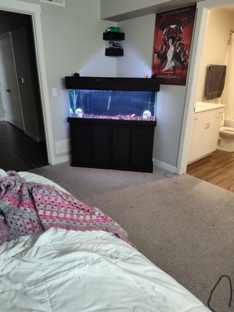 50 Gallon Fish Tank