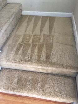 CARPET