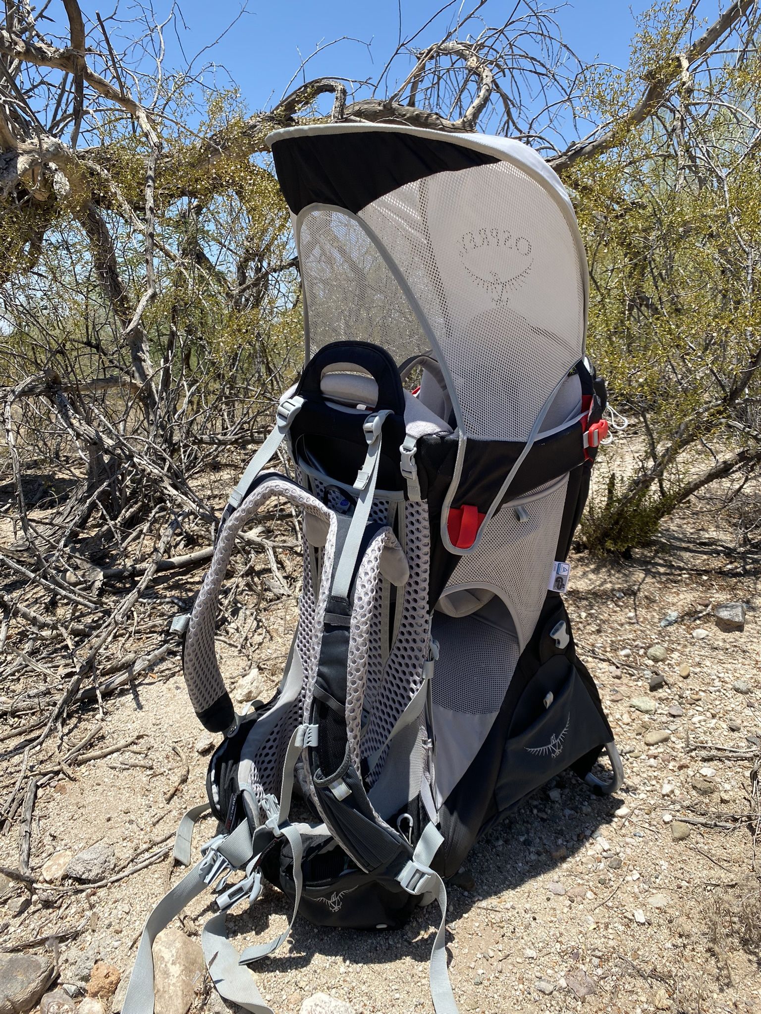 Osprey Poco AG Plus Hiking Child Carrier for Sale in Tucson AZ OfferUp