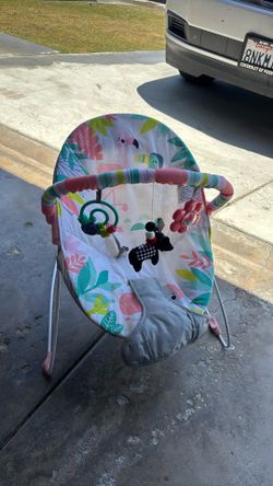 Baby Bouncer