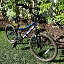 Schwinn Falcon 20" kids' bike