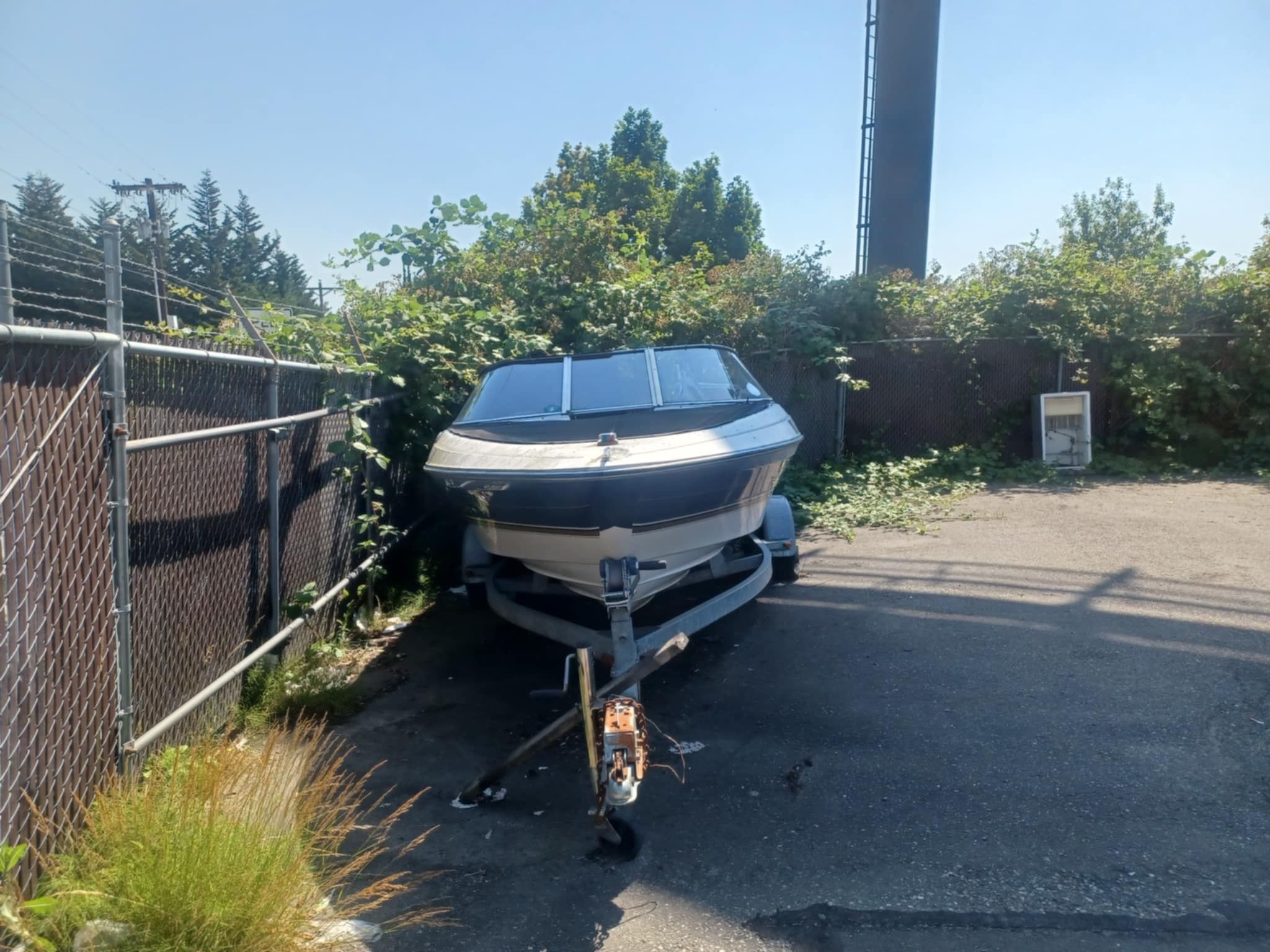 Boat Bayliner