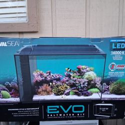 Fluval Sea Evo 13.5 Gallon Saltwater Aquarium Kit