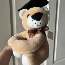Teddy Bear With Graduation Hat