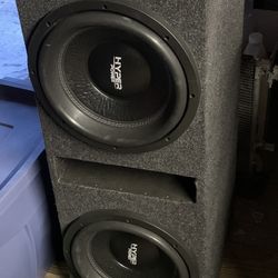 12" Subwoofer Dual Voice