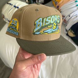 Bisons Fitted