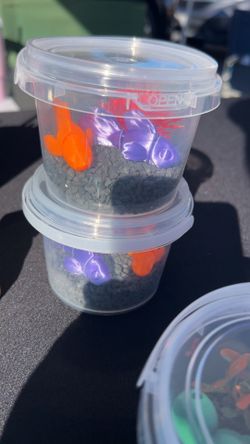 3D Printed Fish Diorama 