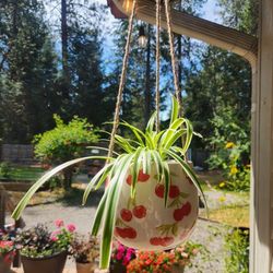Ceramic Cherry Print Hanging Planter