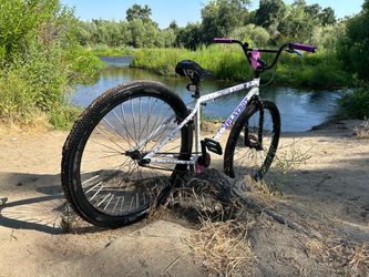 29” Wheelie bike